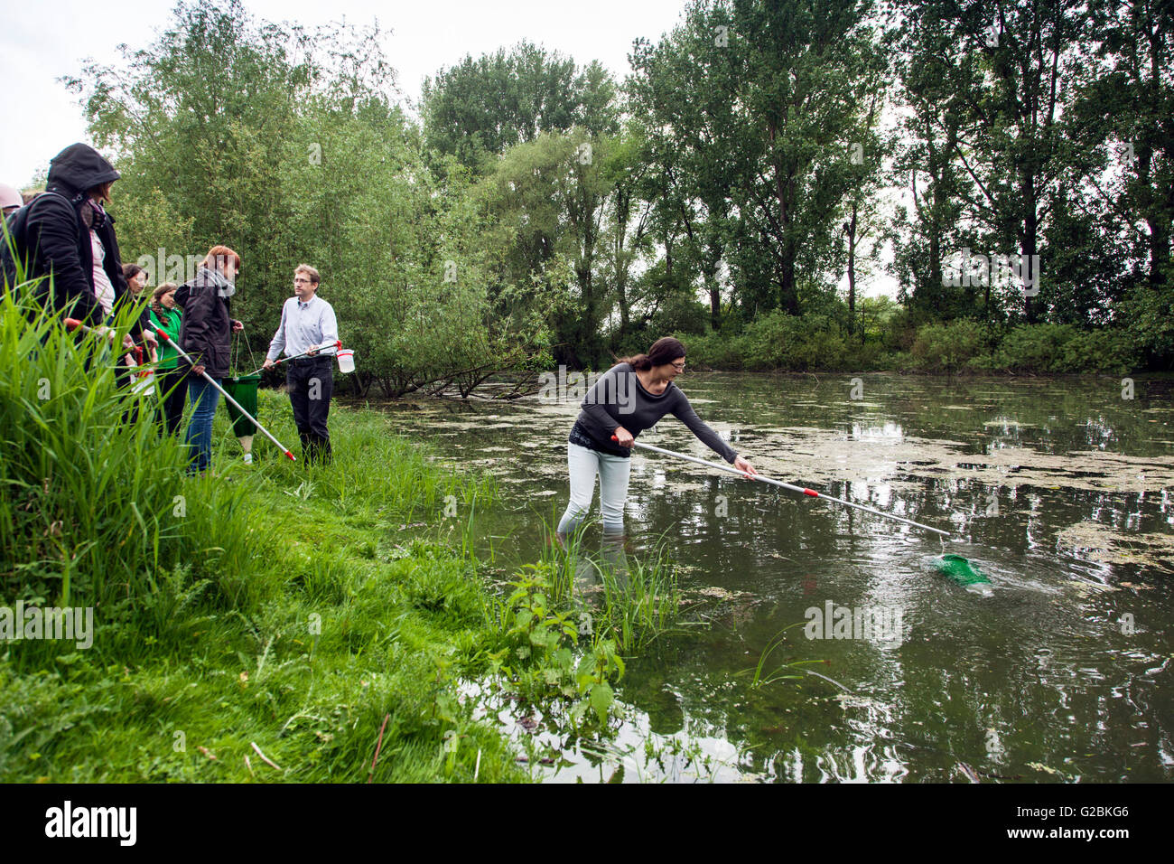 Biologen nehmen Wasserproben von einem bewachsenen Teich. Stockfoto