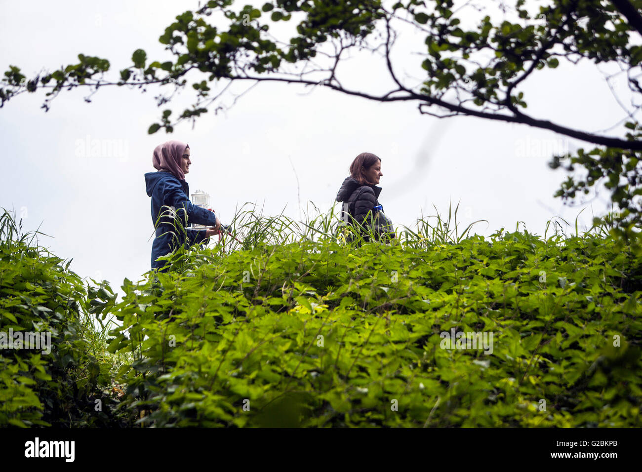 Biologiestudenten Ausflug zu einer Natur reservieren am Niederrhein. Stockfoto