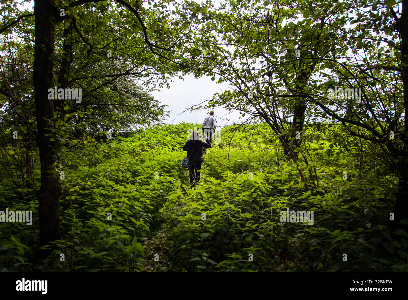 Biologiestudenten Ausflug zu einer Natur reservieren am Niederrhein. Stockfoto