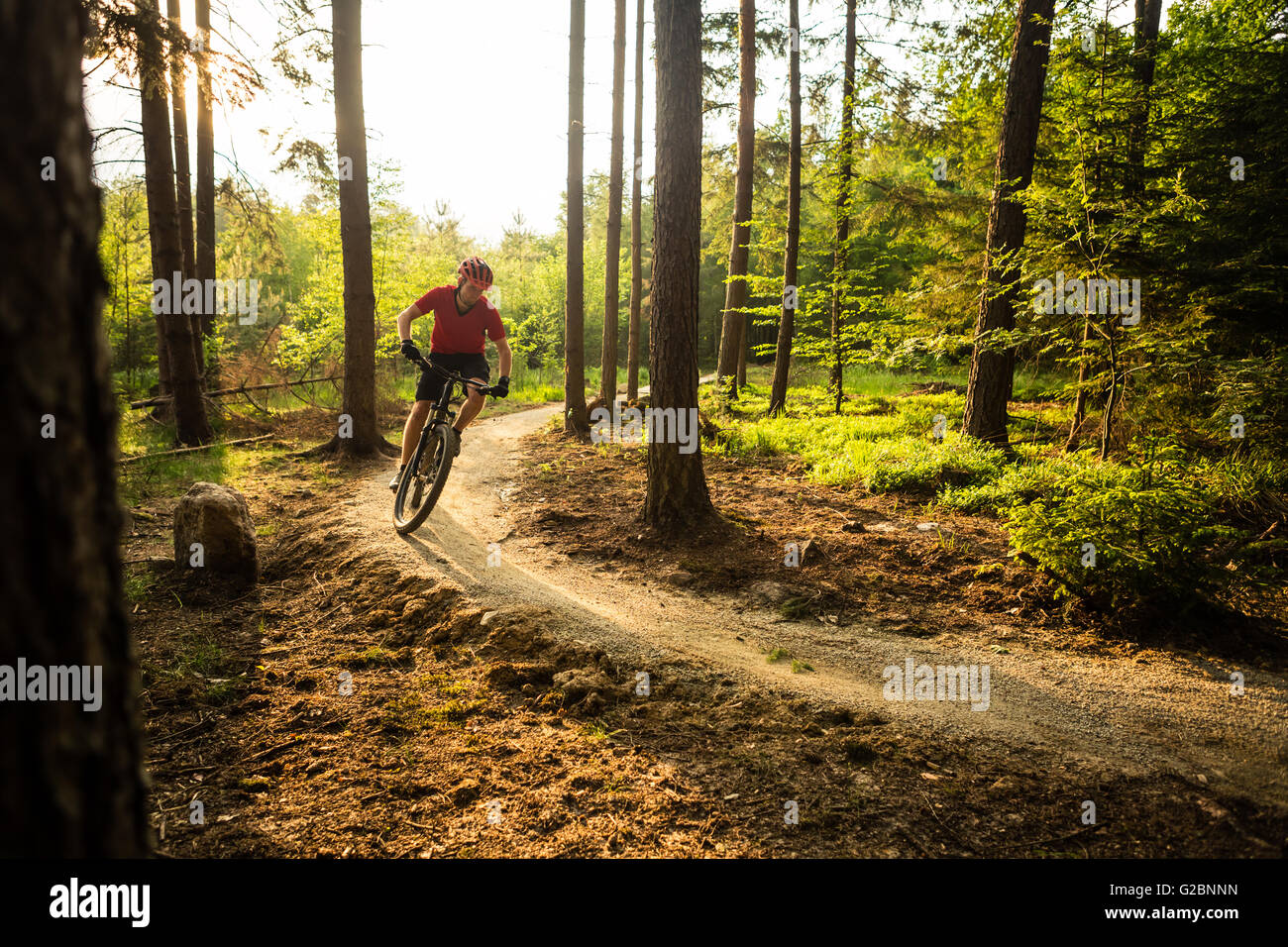 Mountainbiker im Frühjahr inspirierende Sonnenuntergang Waldlandschaft auf Fahrrad Reiten. Mann Radsport MTB Enduro Trail Weg. Sport fitne Stockfoto