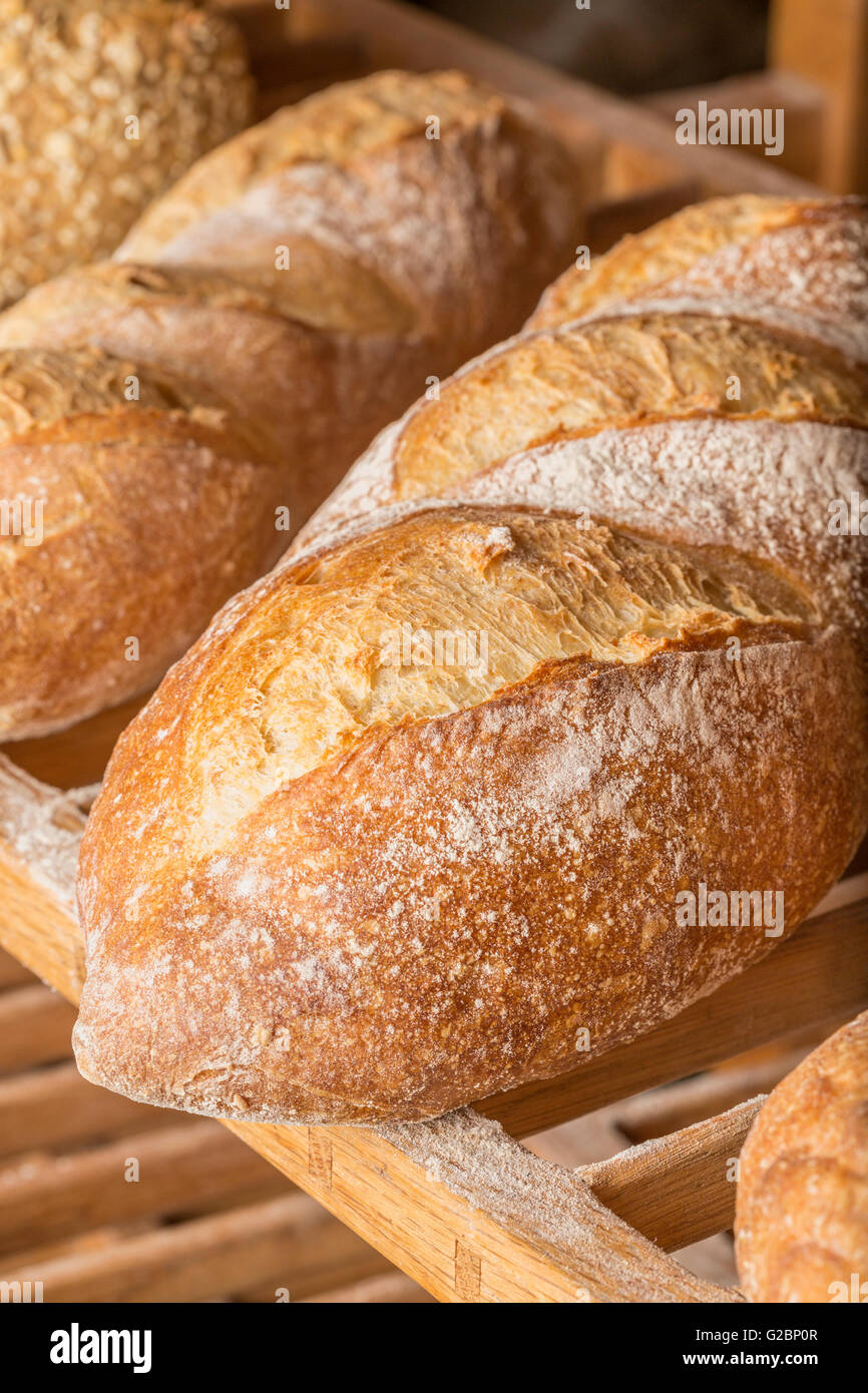 Frisch gebackene Brote ruht auf einem hölzernen Gestell in einer Bäckerei. Stockfoto
