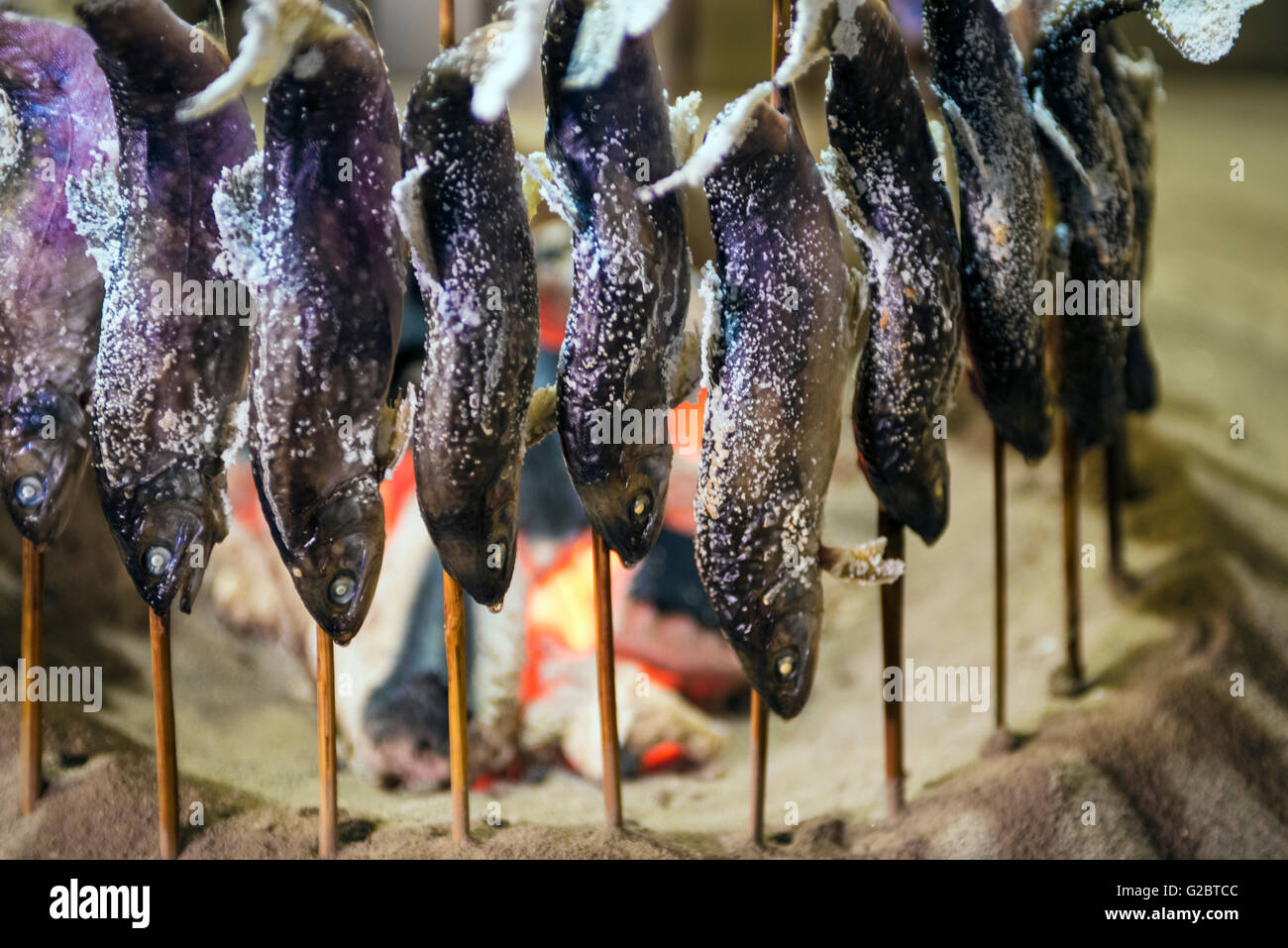 Iwana, weiß gefleckten Saibling gegrillt für Gäste Abendessen im Yarimikan Ryokan in Gifu, Japan Stockfoto