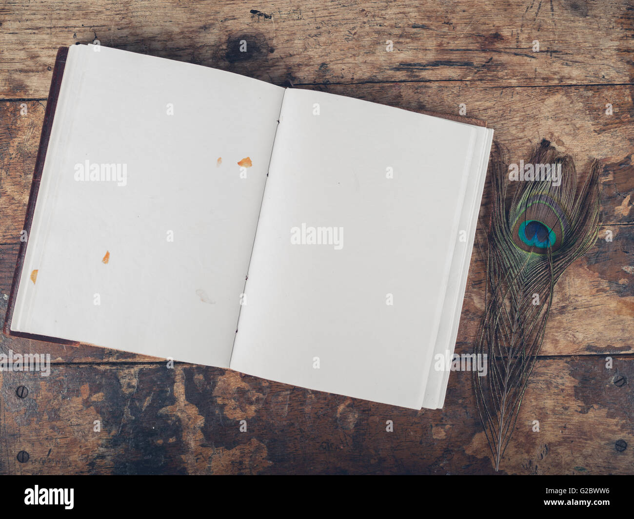 Eine offene Notebook und einer Pfauenfeder auf einem Schreibtisch aus Holz Stockfoto Eine offene Notebook und einer Pfauenfeder auf einem Schreibtisch aus Holz Stockfoto