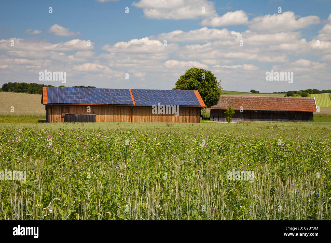 Scheune mit einem solar verkleideten Dach, Erling, Andechs, Fünfseenland, Upper Bavaria, Bavaria, Germany Stockfoto