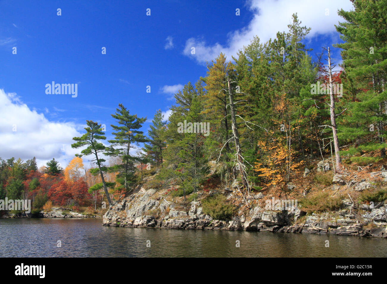 Herbstfarben unterstreicht das felsige Ufer des Lost Bay, Lake Kabetogama, Voyageurs National Park Stockfoto