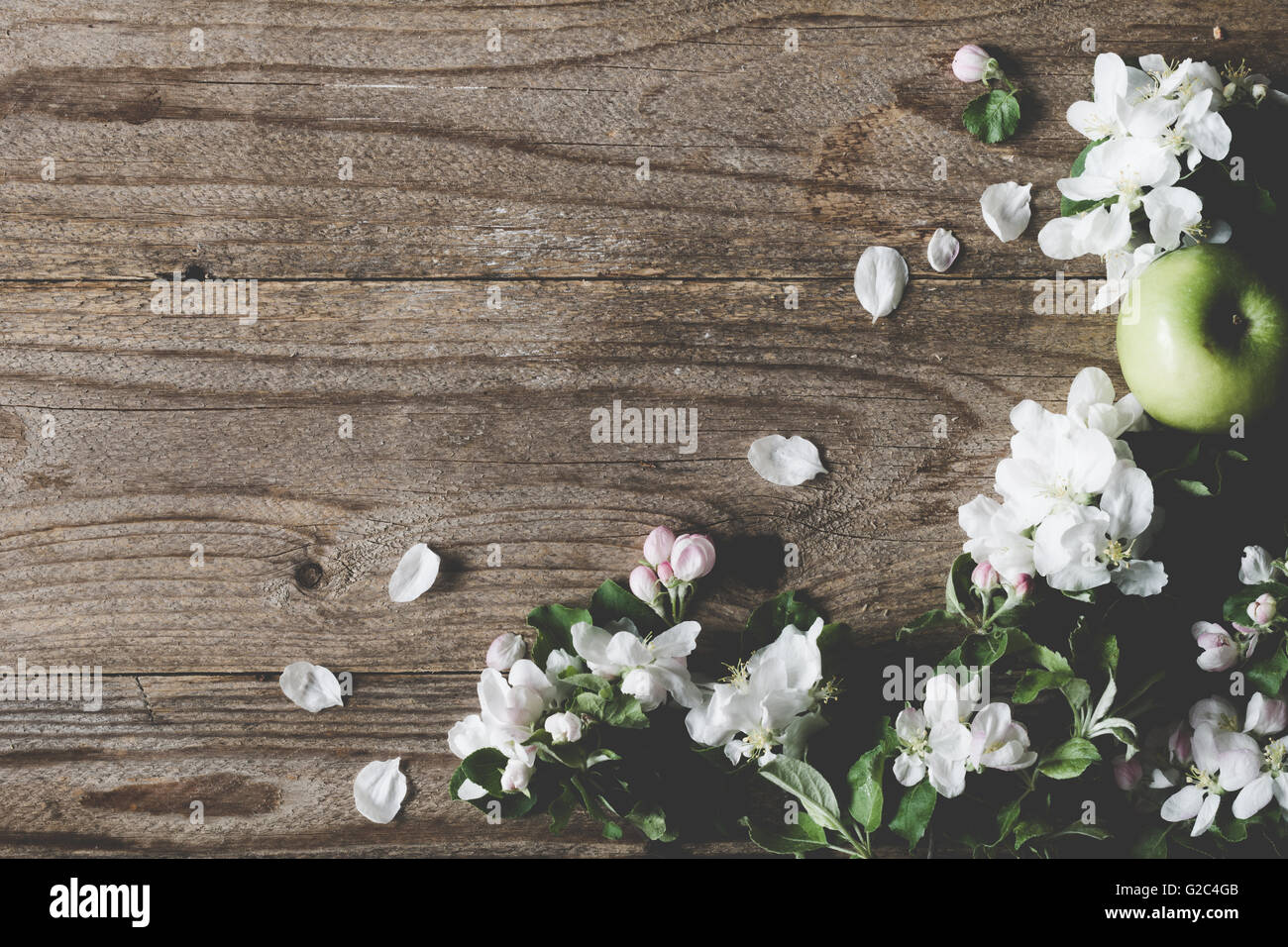 Hölzerne Hintergrund mit Apple Blossom Blumen. Apfelblüten und grüner Apfel auf rustikalen hölzernen Hintergrund. Platz für Text kopieren Stockfoto