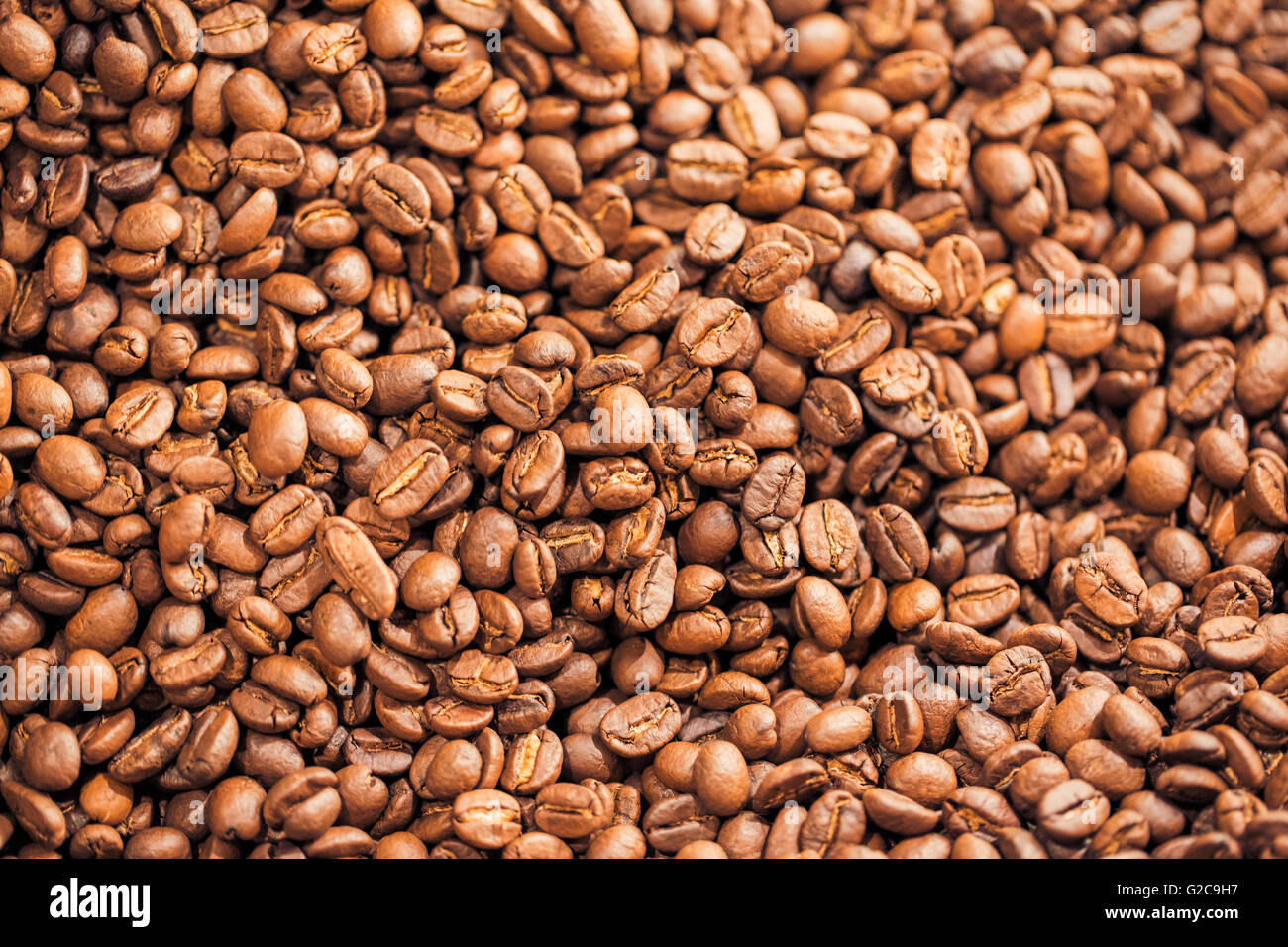 Frisch gerösteten kolumbianischen Kaffee Bohnen, warmen Tönen. Gerösteter Kaffeebohnen können als Hintergrund verwendet werden Stockfoto
