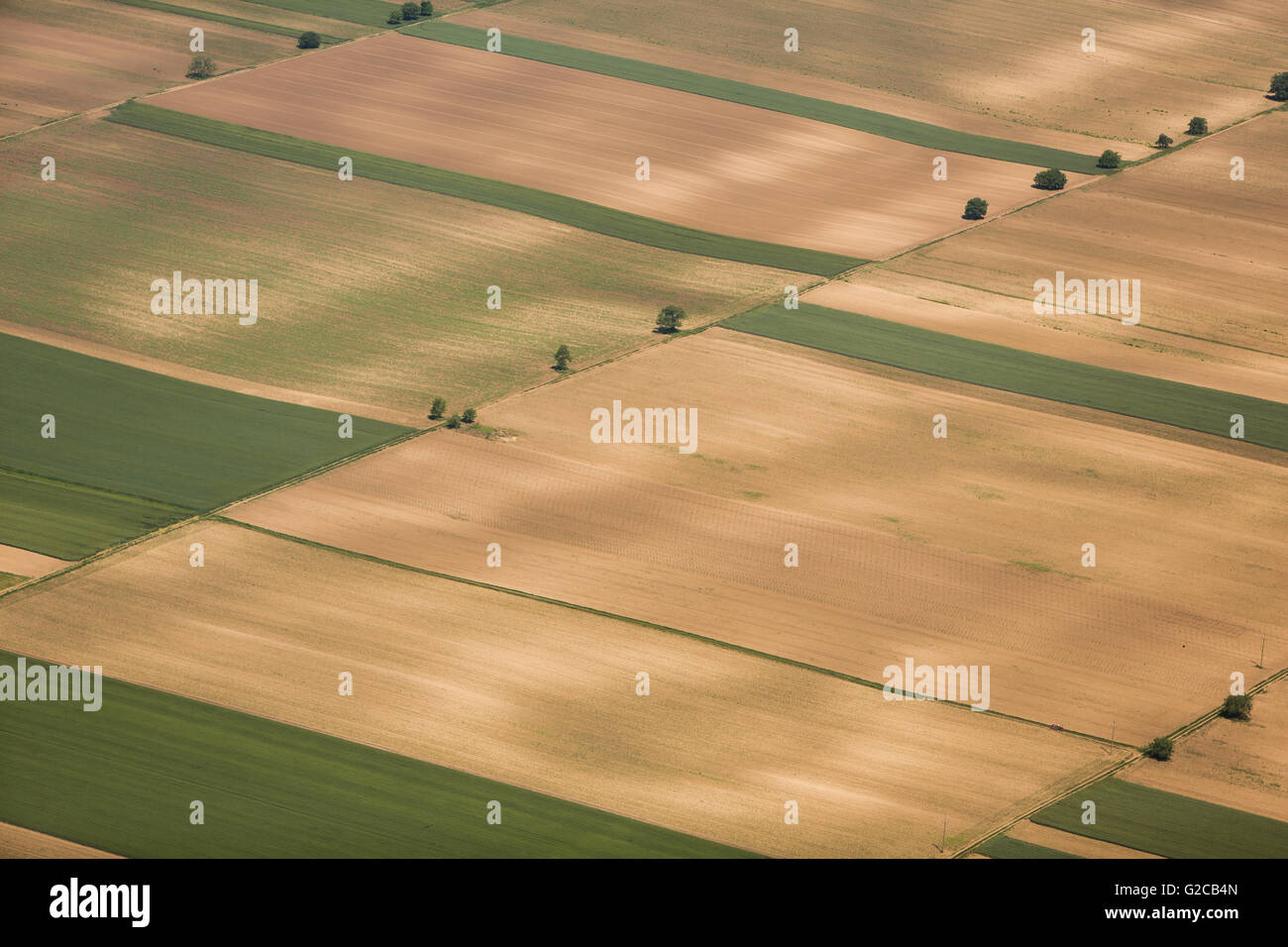 Ackerland Luftaufnahmen in Vojvodina, Serbien Stockfoto