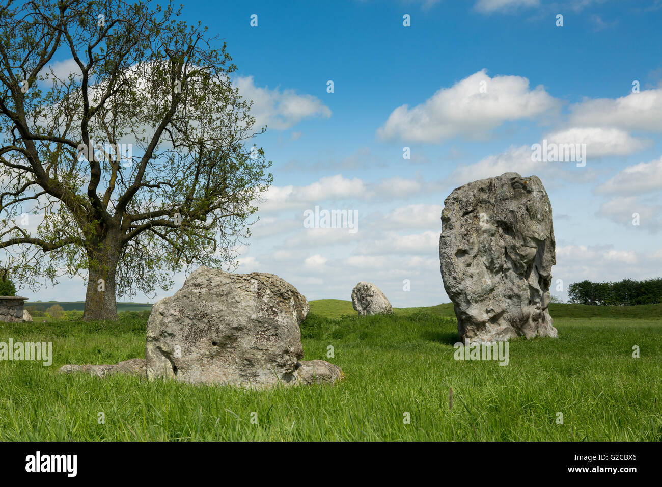 Ein paar Menhire, Teil der riesigen Steinkreis in Avebury Wiltshire. Blauer Himmel mit flauschigen Wolken und üppigen grünen Rasen. Stockfoto