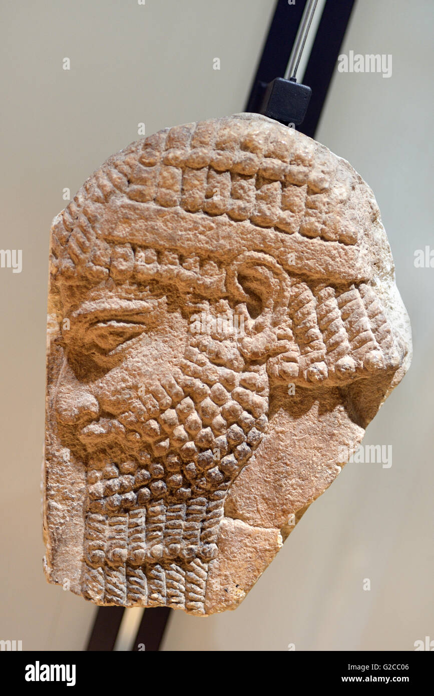 Assyrisches Steinrelief Beartes Assyrisches (c8thBC) aus Dur-Sharrukin, dem heutigen Chorsabad im Nordirak. Assyrisches Kapital während der Herrschaft von Sargon II Stockfoto