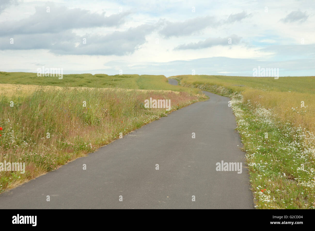 Landschaft-Straße zwischen Getreidefeldern Stockfoto