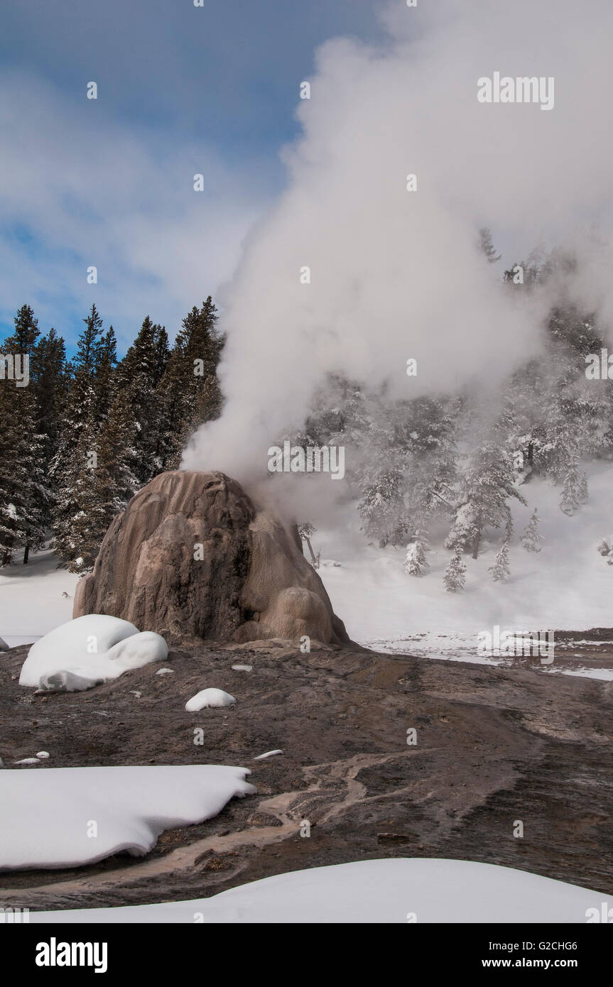 Lone Star-Geysir, Winter, Upper Geyser Basin in der Nähe von Old Faithful, Yellowstone Nationalpark, Wyoming. Stockfoto