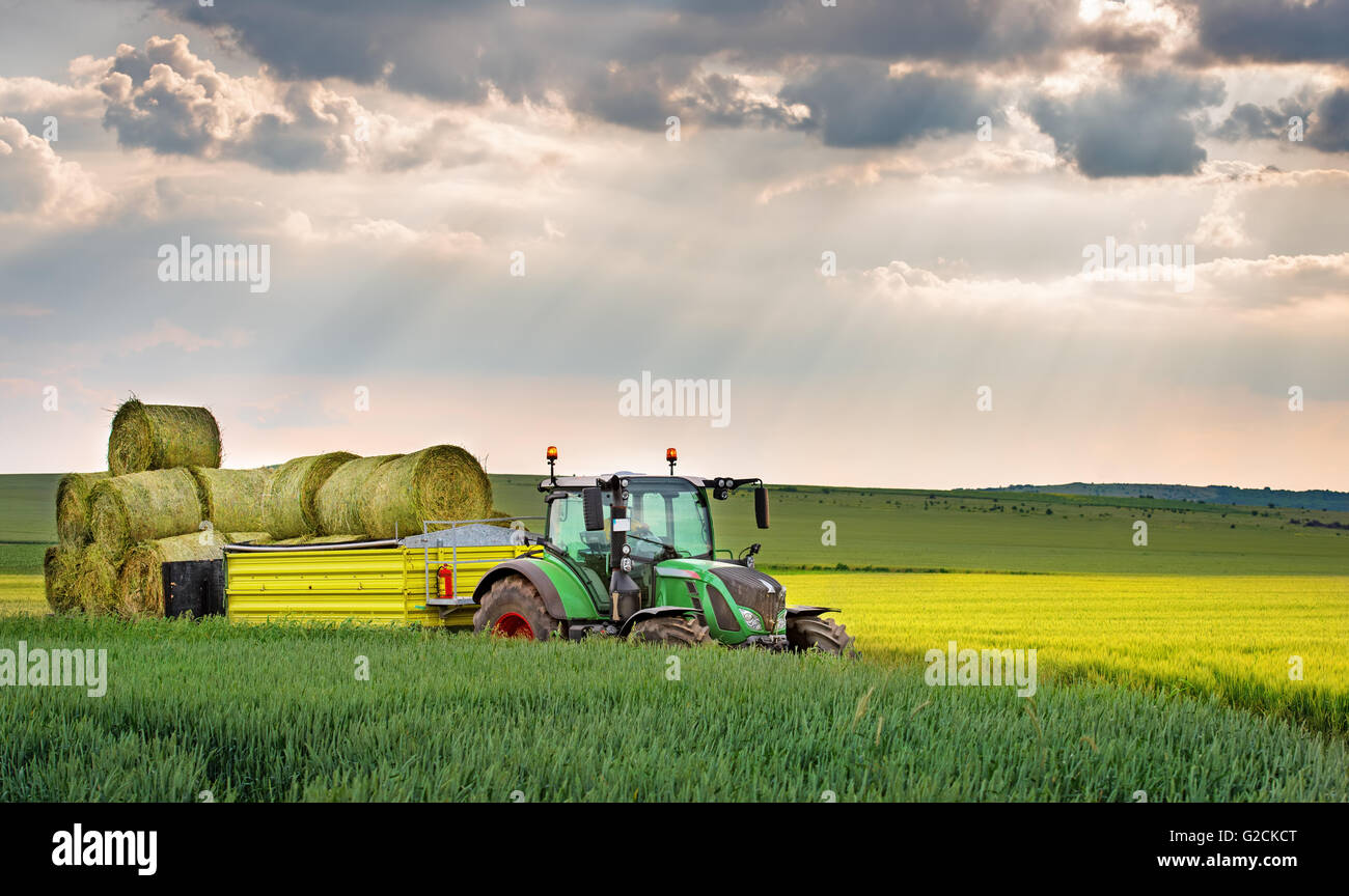 Varna, Bulgarien - 23. Mai 2016: Traktor FENDT 724 Vario. Fendt ist ein deutscher Hersteller von landwirtschaftlichen Traktoren Maschinen, Mann Stockfoto