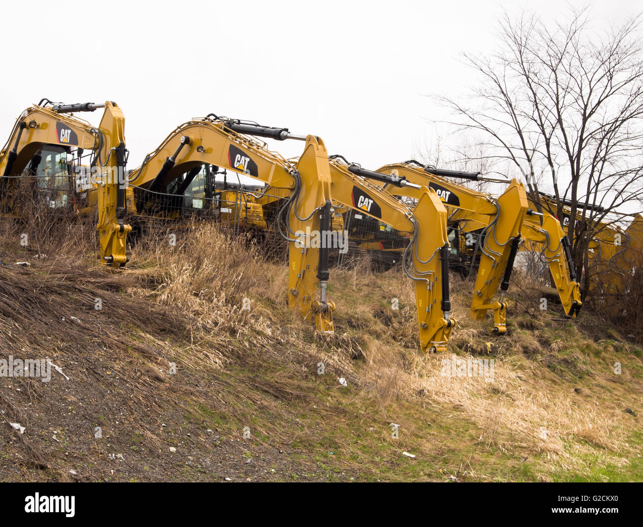 Was Baumaschinen werden auf ihren Tag, Weiden auf einem trockenen Hang, Oslo, Norwegen Stockfoto