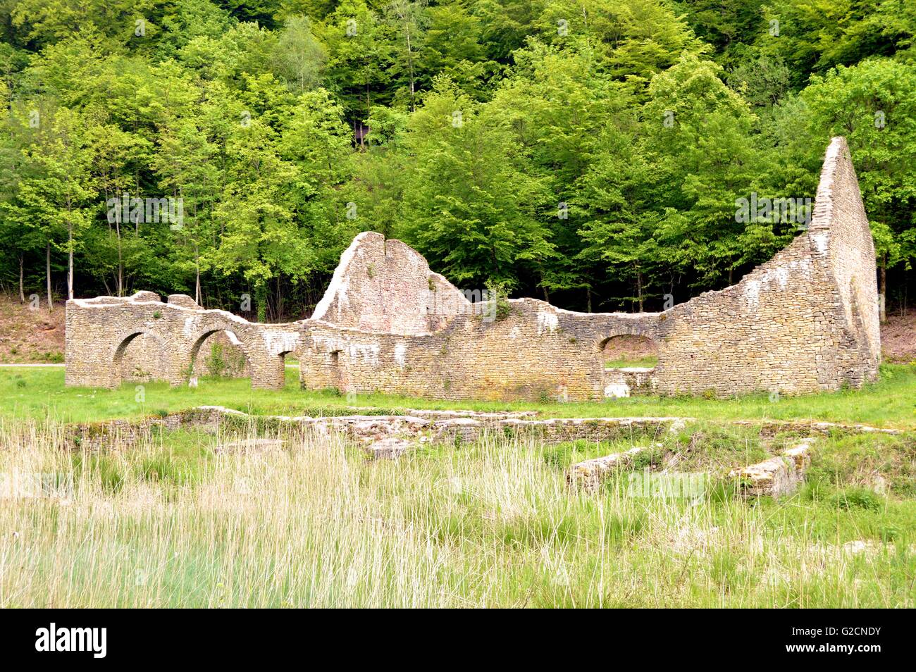 Wände in der Ruine einer ehemaligen Gießerei in einem Wald in Belgien. Stockfoto