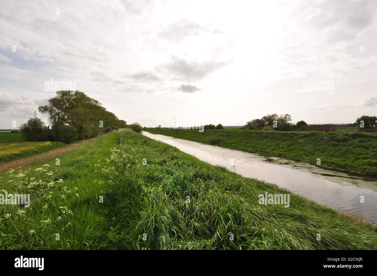 Der River Glen am Ende der Zunge, nach Süd-West, Lincolnshire Fens, UK Stockfoto