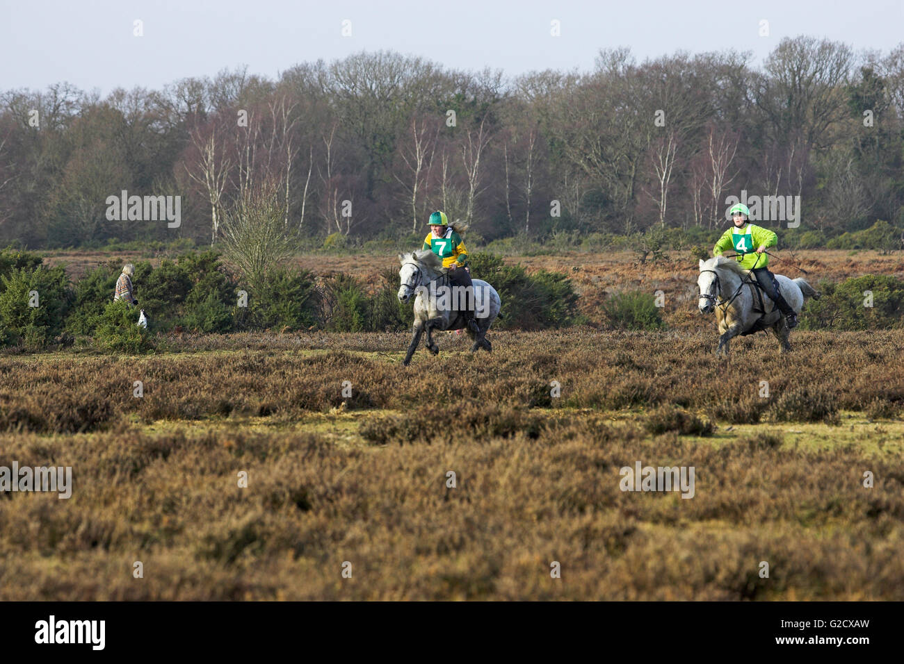 Reiten in Richtung Ziellinie in der Boxing Day 2007 Punkt Spion Halligen in der Nähe von Burley New Forest Nationalpark Hampshire En Stockfoto