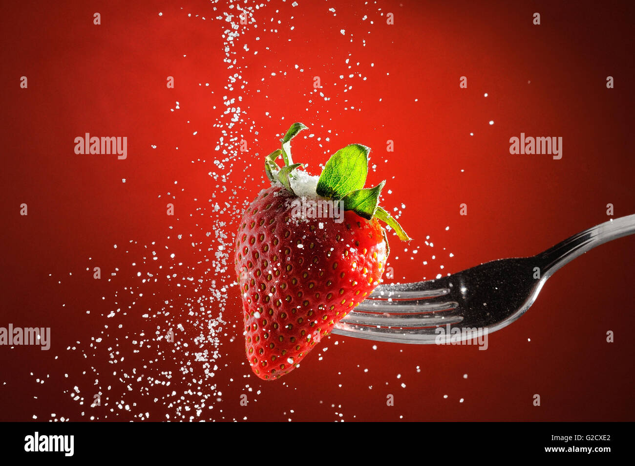 Erdbeere auf einer Gabel durchstochen fallen Zucker mit rotem Hintergrund Details Stockfoto