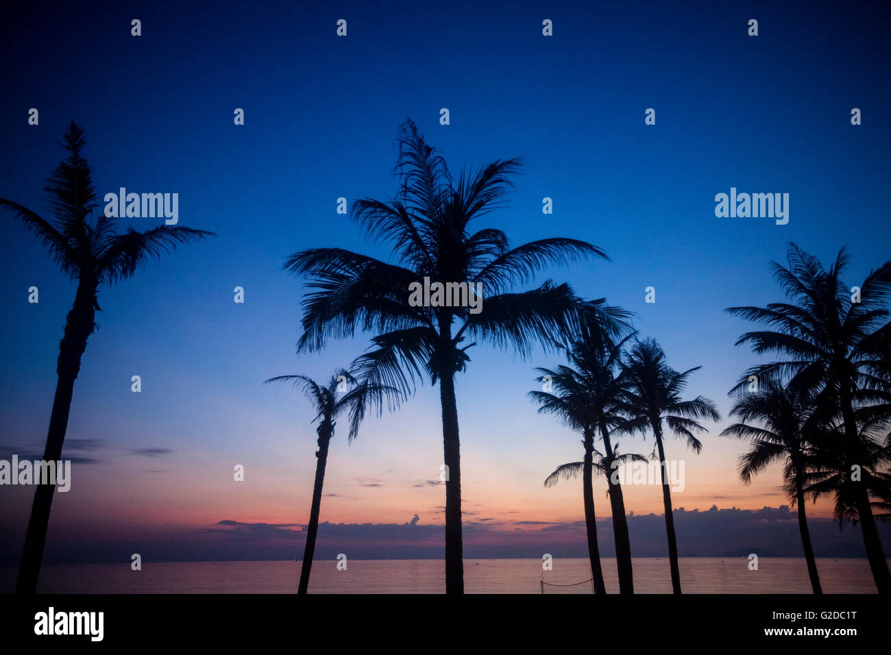 Palmen Sie und Meer in der Morgendämmerung, Hoi an, Vietnam Stockfoto