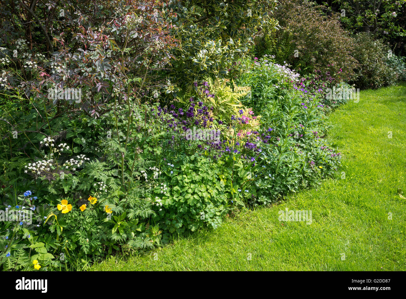 Ein englischer Cottage-Garten Ende Mai mit einer Fülle von informellen Einpflanzen. Stockfoto