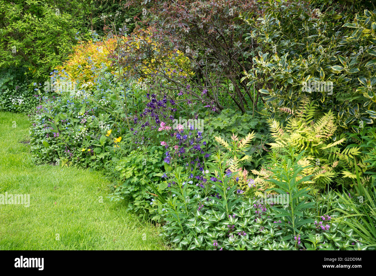 Cottage garden mixed planting Fotos und Bildmaterial in hoher