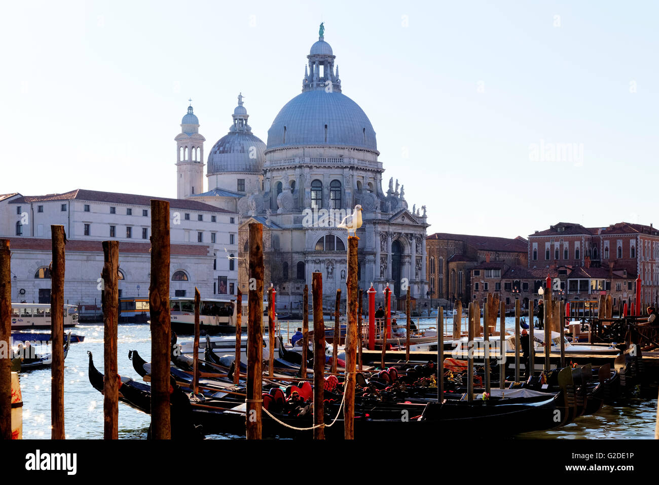Canal Grande, Venedig, Veneto, Italien Stockfoto