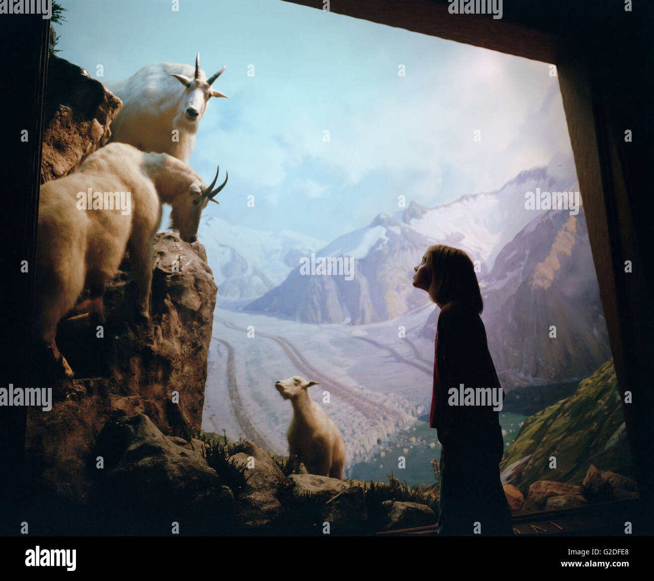 Mädchen auf der Suche im Natural History Museum-Anzeige Stockfoto