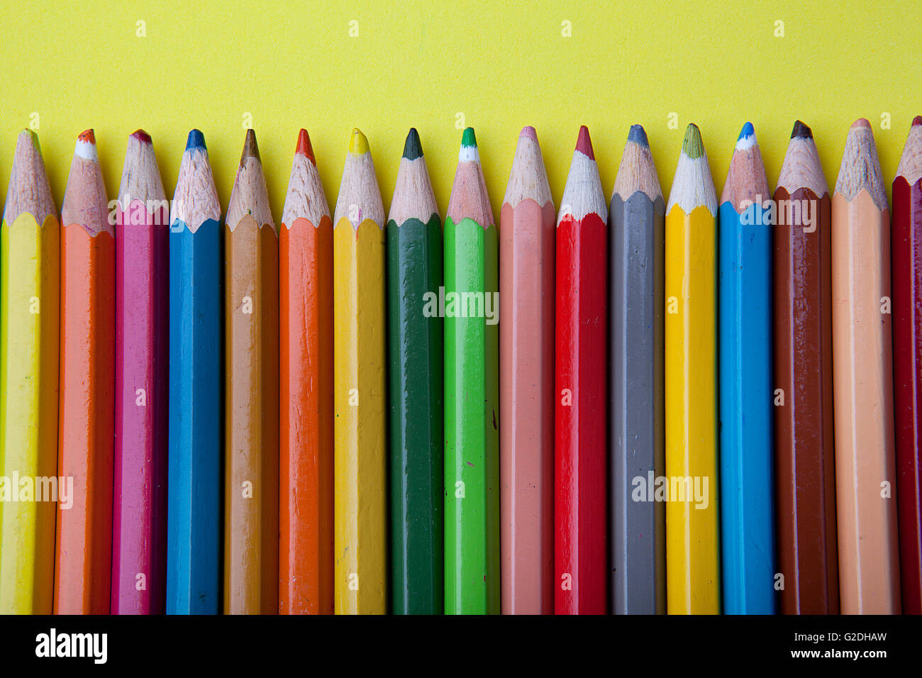 Viele Bleistifte in verschiedenen Farben in einer Reihe ausgerichtet Stockfoto