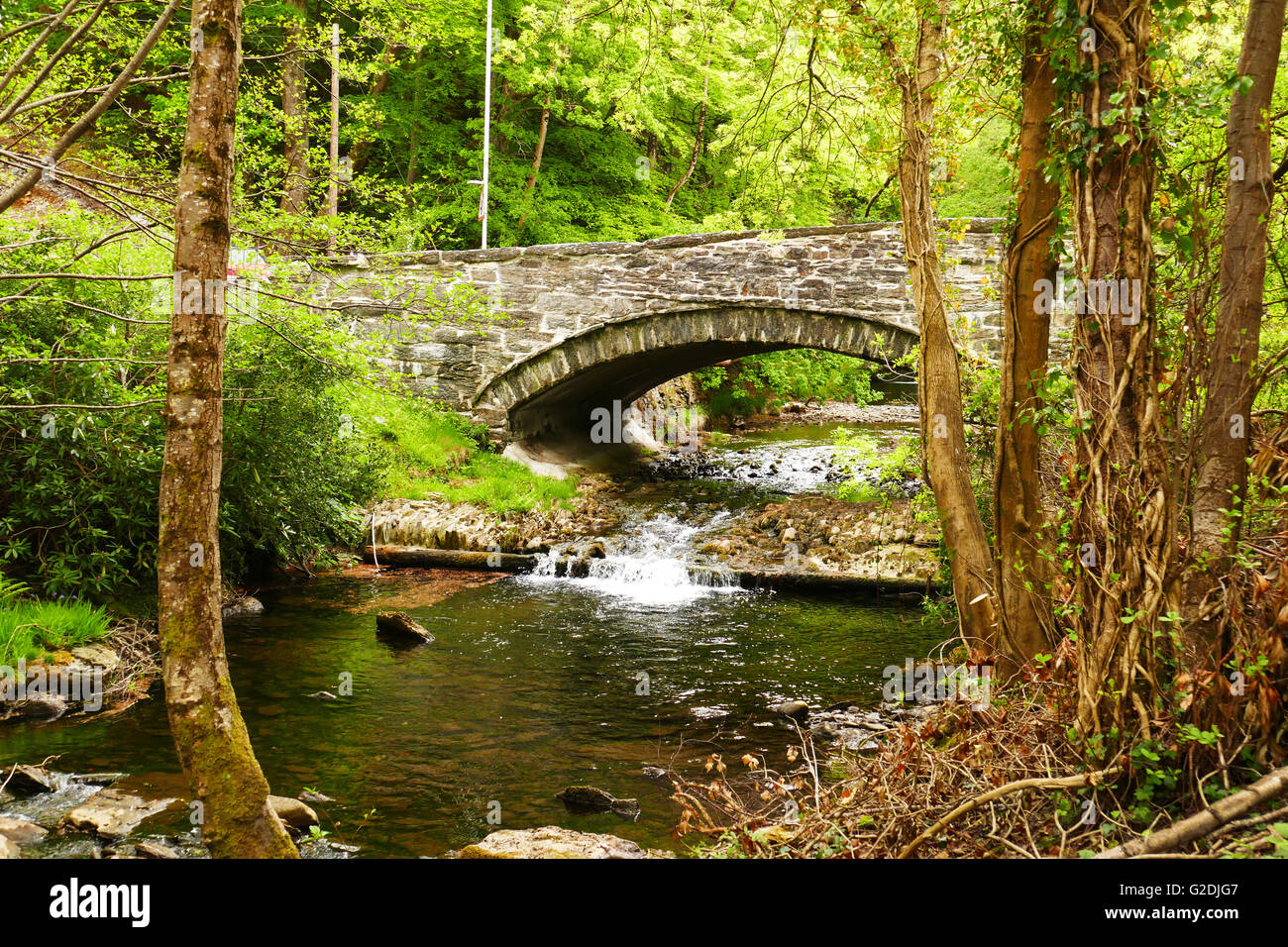 Fluss Einion, Ceredigion, Wales in der Nähe von dem Dorf Ofen mit seinen aus dem 18. Jahrhundert Hochofen, angetrieben durch den Fluss. Stockfoto