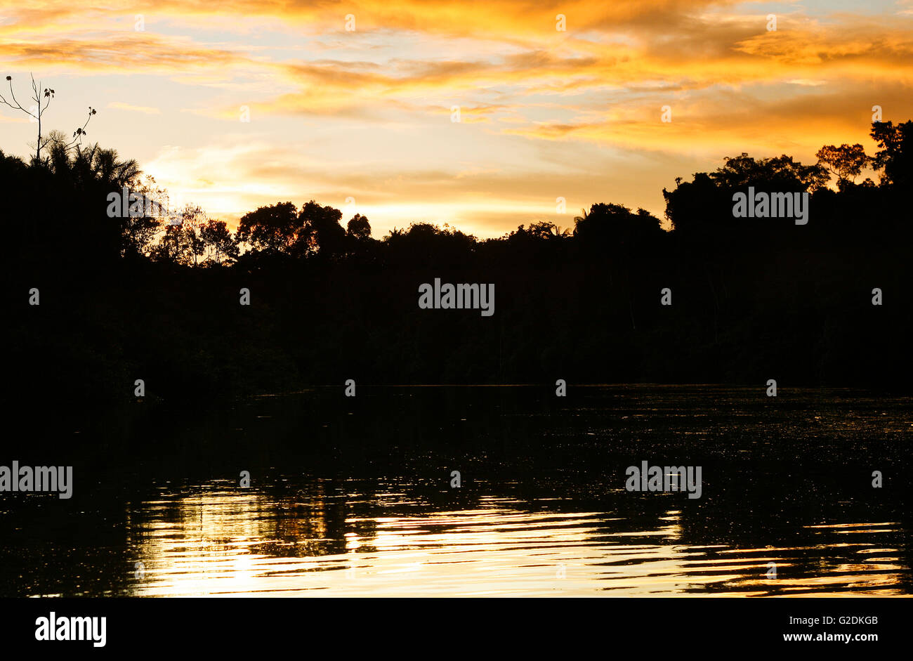 Yavari Fluss. Matses reservieren. Amazonas, Peru Stockfoto