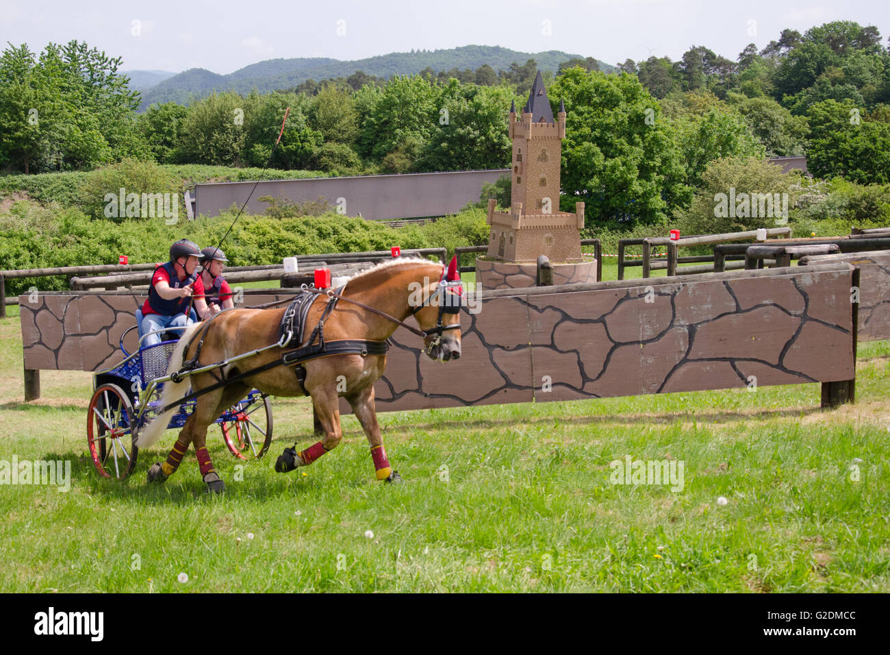 Gelände-Kurs Rennen der internationalen Pferd Kutsche Trainer Rennsport in Dillenburg, Deutschland Stockfoto
