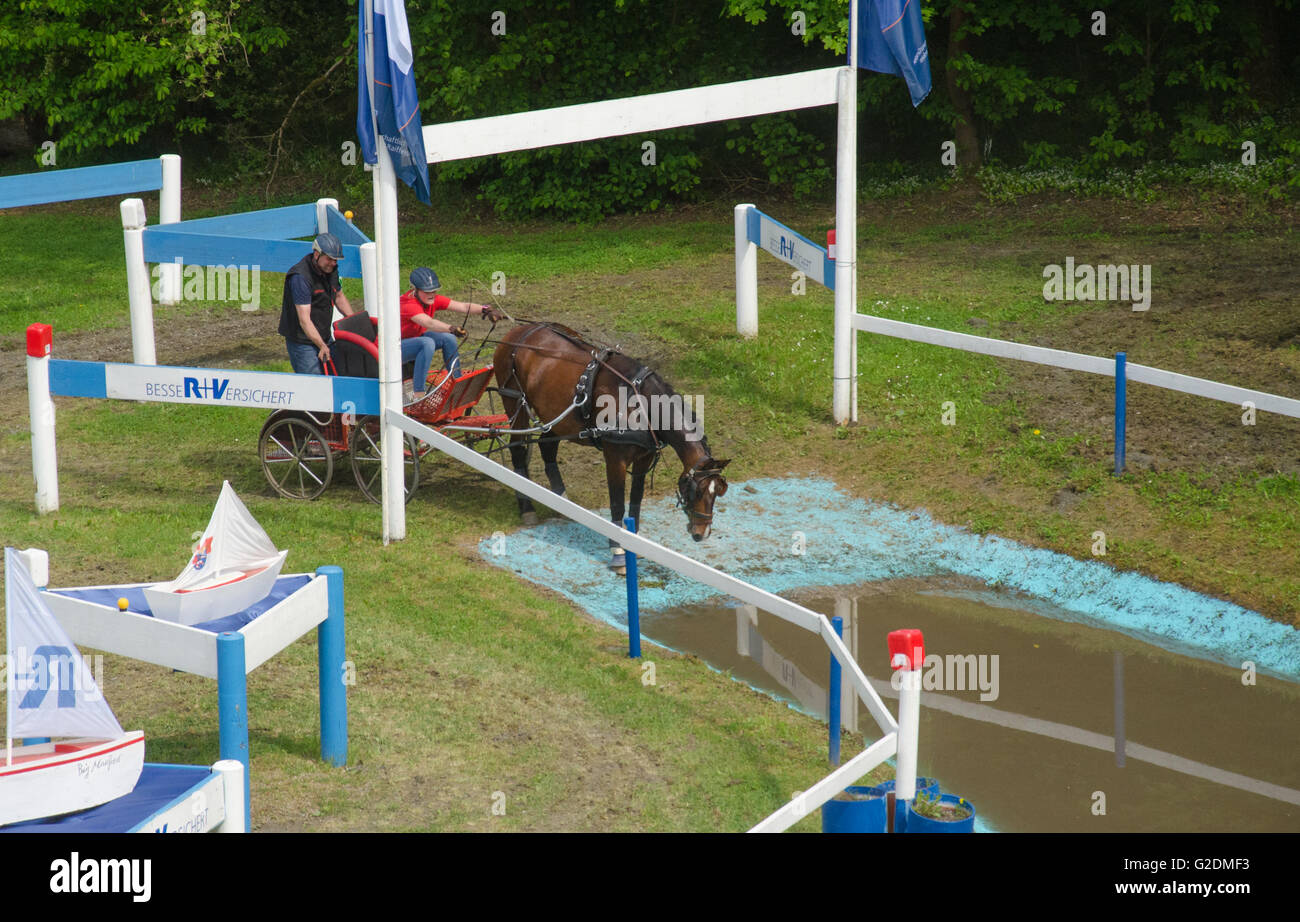 Gelände-Kurs Rennen der internationalen Pferd Kutsche Trainer Rennsport in Dillenburg, Deutschland Stockfoto