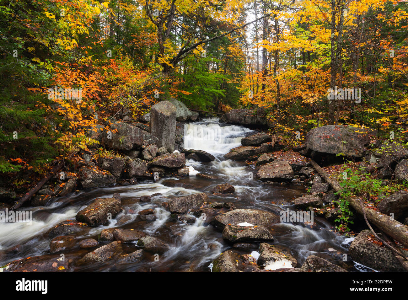 Wasserfall, Adirondack Mountains, See angenehm, New York, Vereinigte Staaten von Amerika Stockfoto