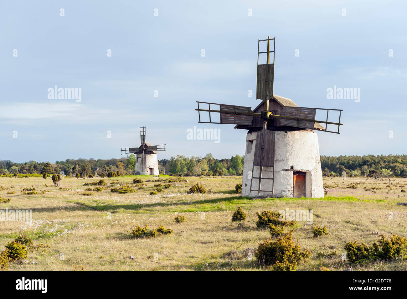 Alte Windmühle. Gotland, Schweden Stockfoto