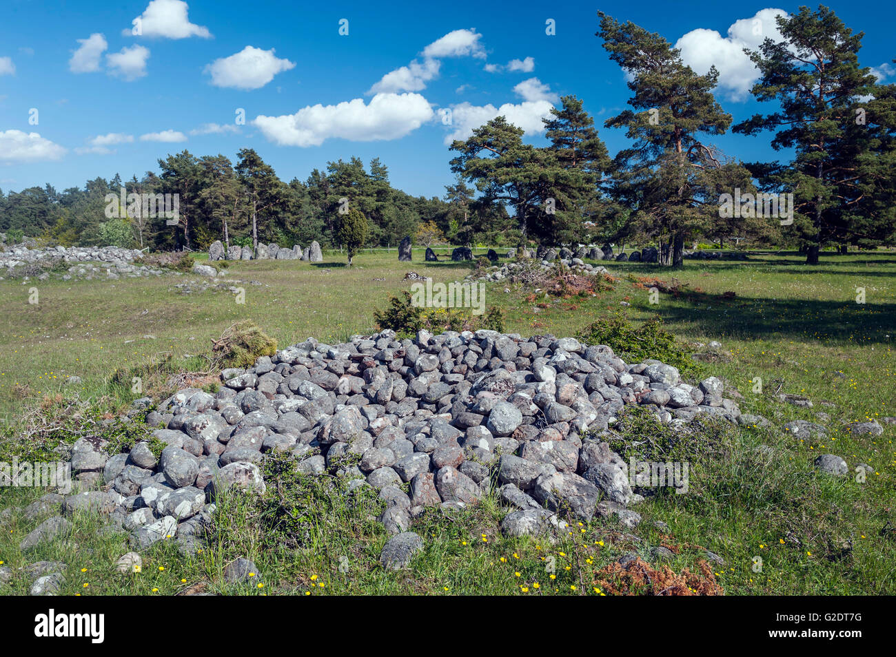 Alte Gravefield. Gotland, Schweden Stockfoto
