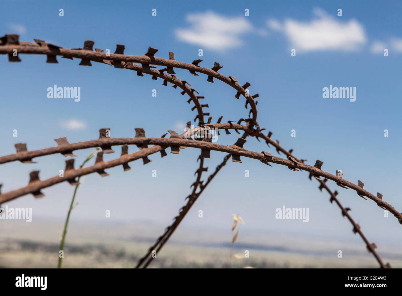 Alte rostige Stacheldraht Closeup Landesgrenzen mit blauem Himmel und weißen Wolken Stockfoto