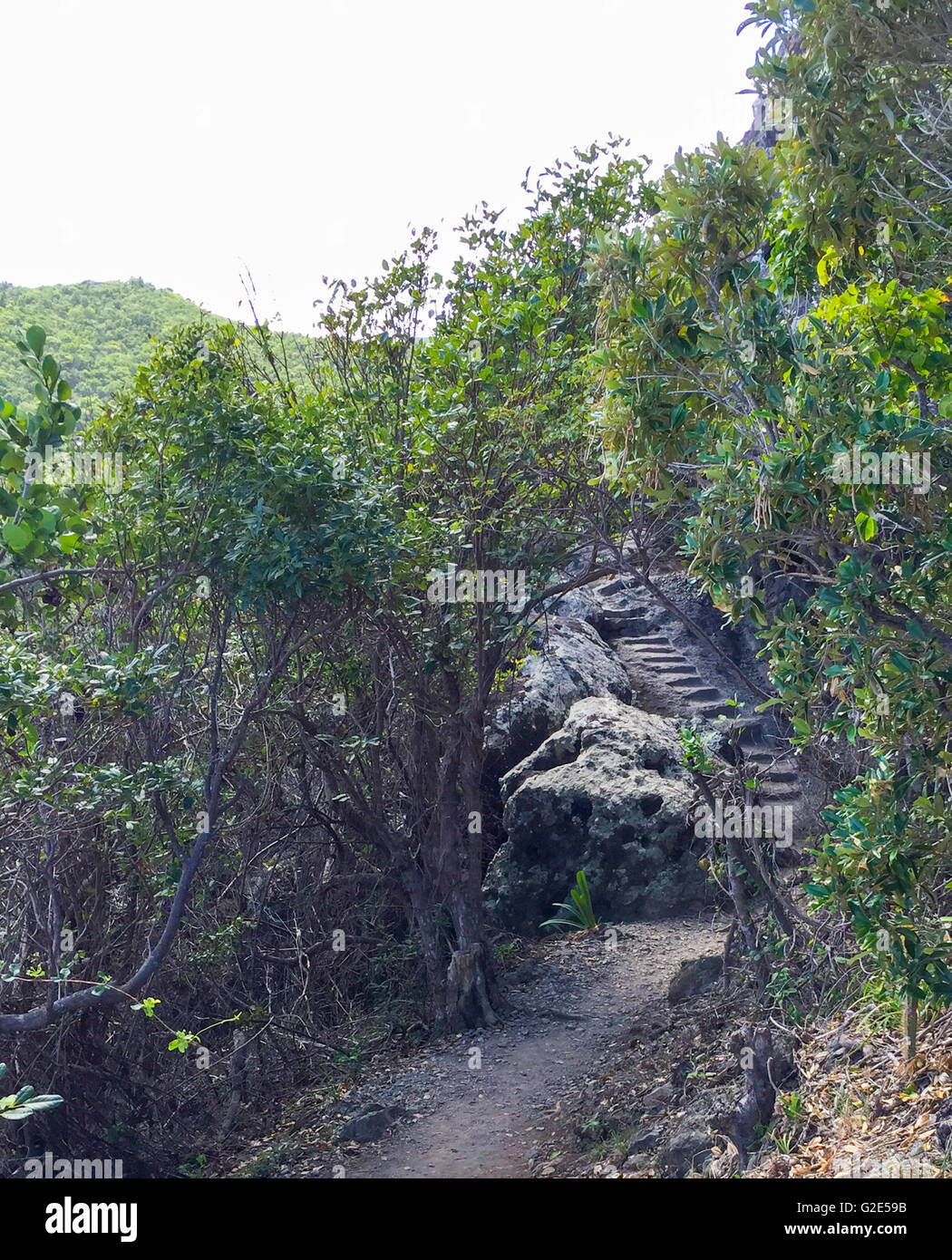 ein Wanderweg entlang eines Berges in St Bart mit einem Querschnitt von geschnitzten Schritte Stockfoto