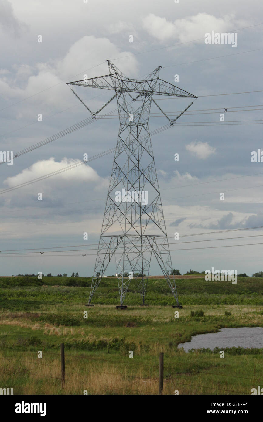 Ein Sendeturm, Unterstützung von Freileitungen auf der östlichen Alberta-Übertragungsleitung in Alberta, Kanada. Stockfoto