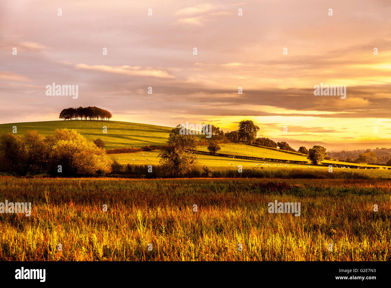 Ländliche Landschaft bei Sonnenuntergang, Gloucestershire, England Stockfoto