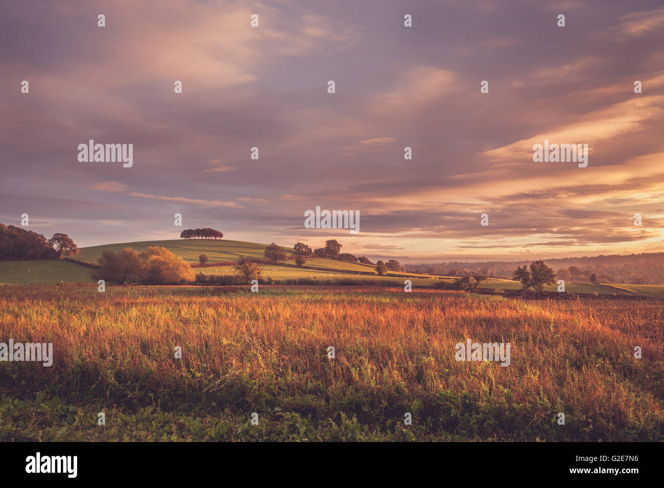 Ländliche Landschaft, Gloucestershire, England Stockfoto