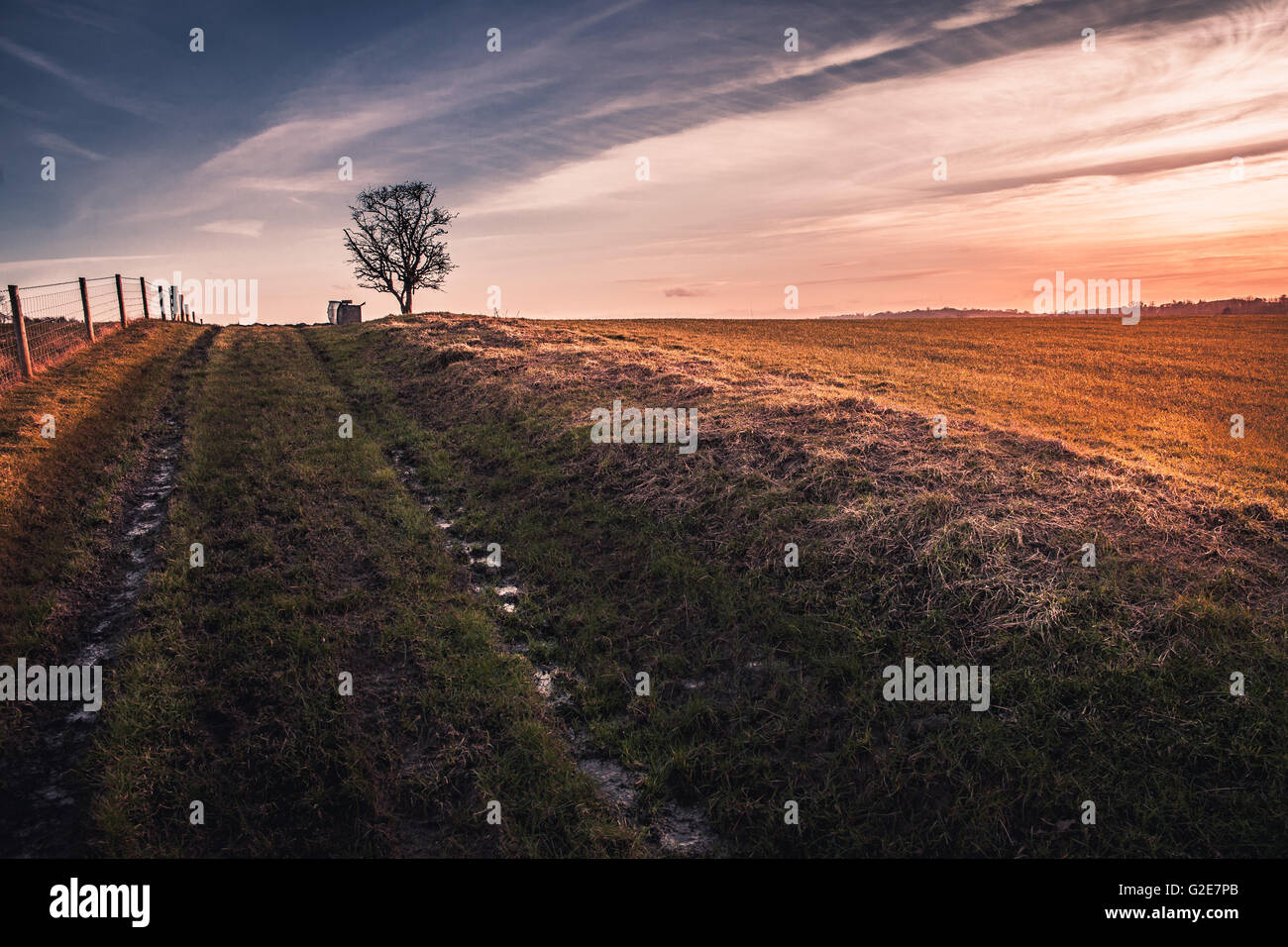 Feldweg entlang ländlichen Bereich bei Sonnenuntergang Stockfoto
