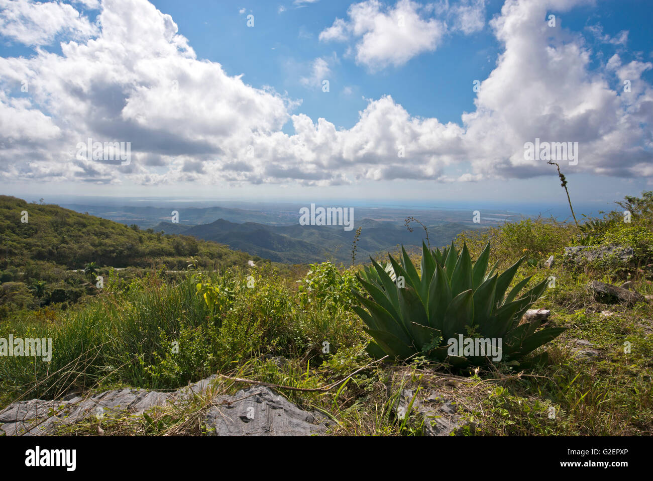 Horizontale Luftaufnahme von Topes de Collantes Nationalpark in Kuba. Stockfoto