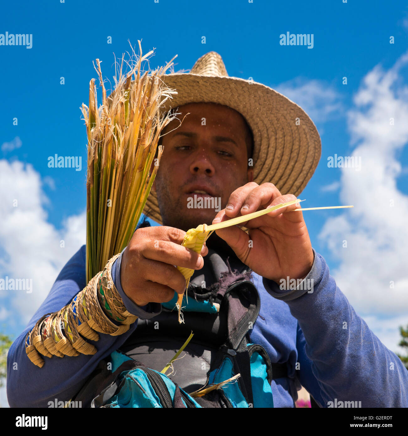 Porträt eines Mannes, so dass eine Heuschrecke von einem Zuckerrohr-Blatt in Kuba Platz. Stockfoto