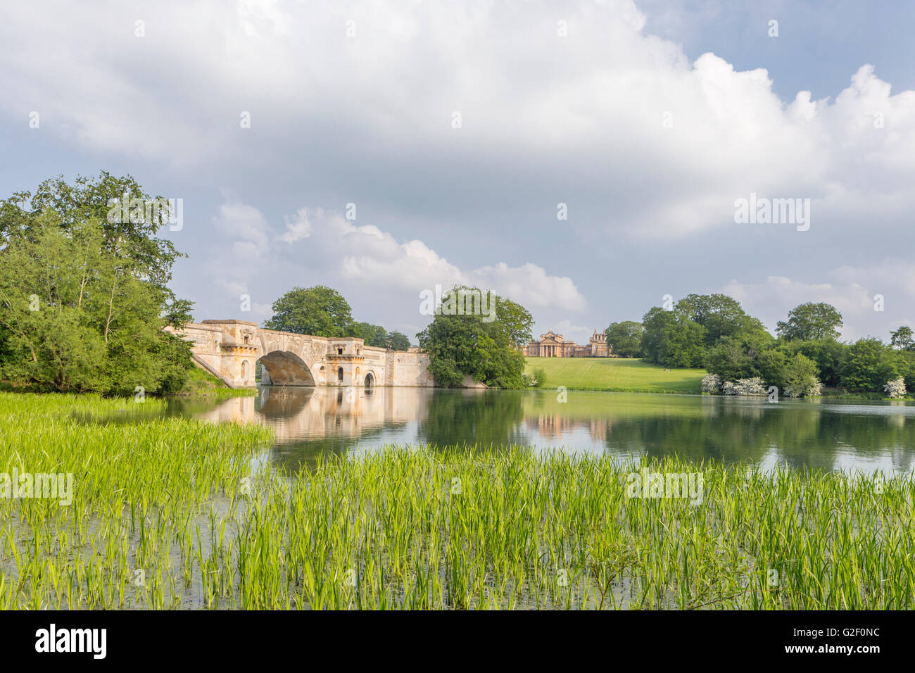 Blenheim Palace und seiner gepflegten Parklandschaft, Woodstock, Oxfordshire, England, UK Stockfoto