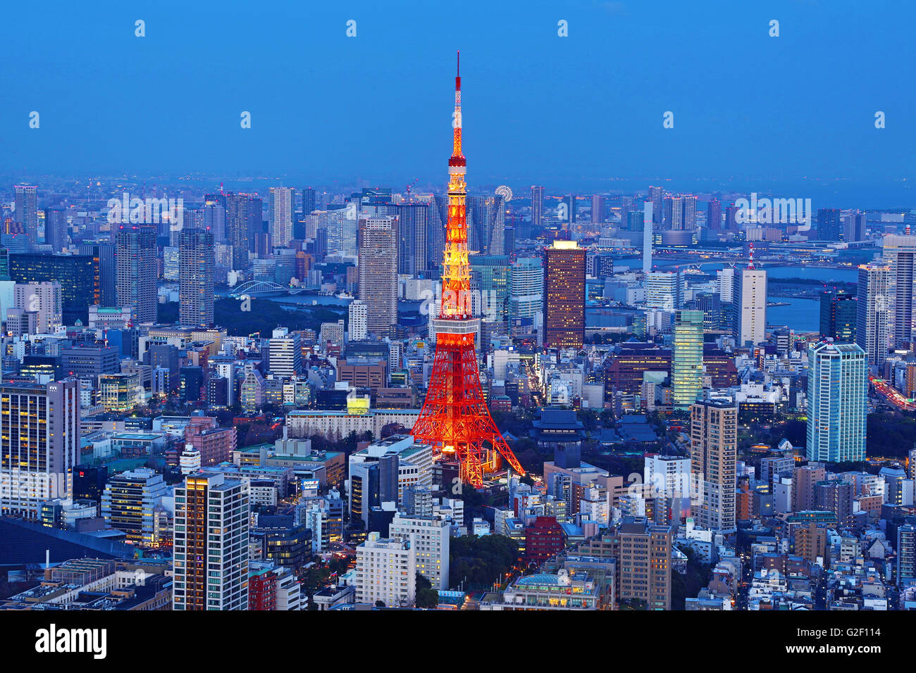 Allgemeine Stadt Skyline Nachtansicht mit dem Tokyo Tower in Tokio, Japan Stockfoto