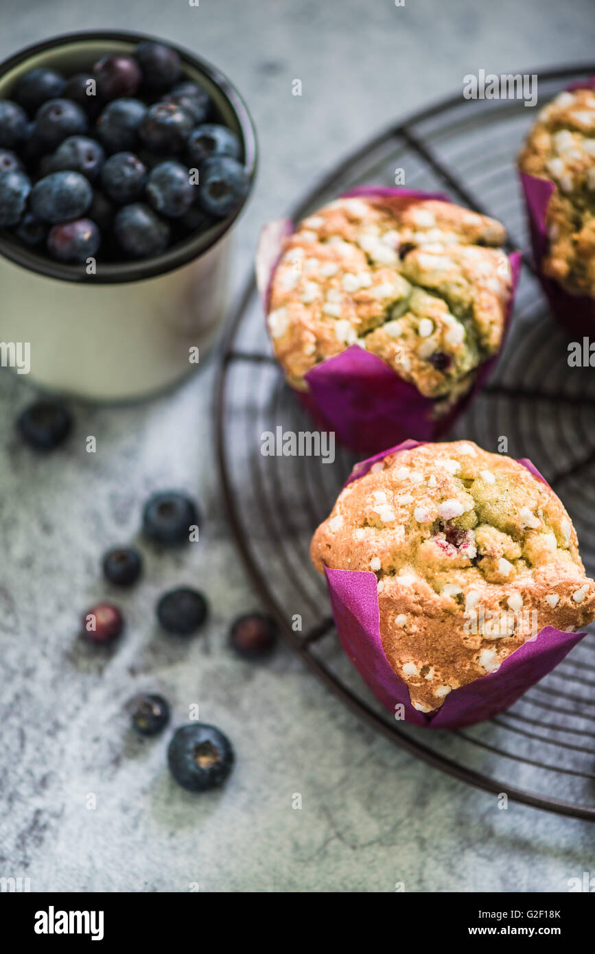 hausgemachte Muffins mit saisonalen Früchten auf Kühlung Tablett Stockfoto
