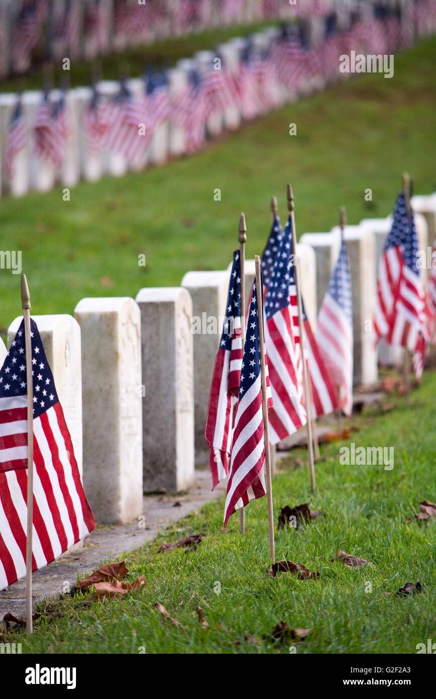Veteranen Tag Stockfoto