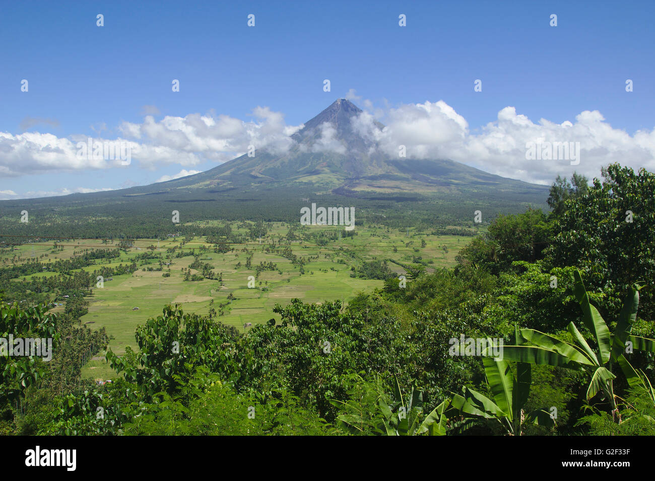 Mount Mayon aus Lignon Hill in Legazpi, Bicol, Philippinen Stockfoto