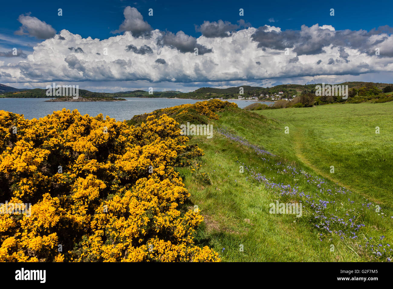 Blick zurück entlang der Küste von Castle Point, Rockcliffe entlang grobe Firth, Dumfries & Galloway, Schottland Stockfoto