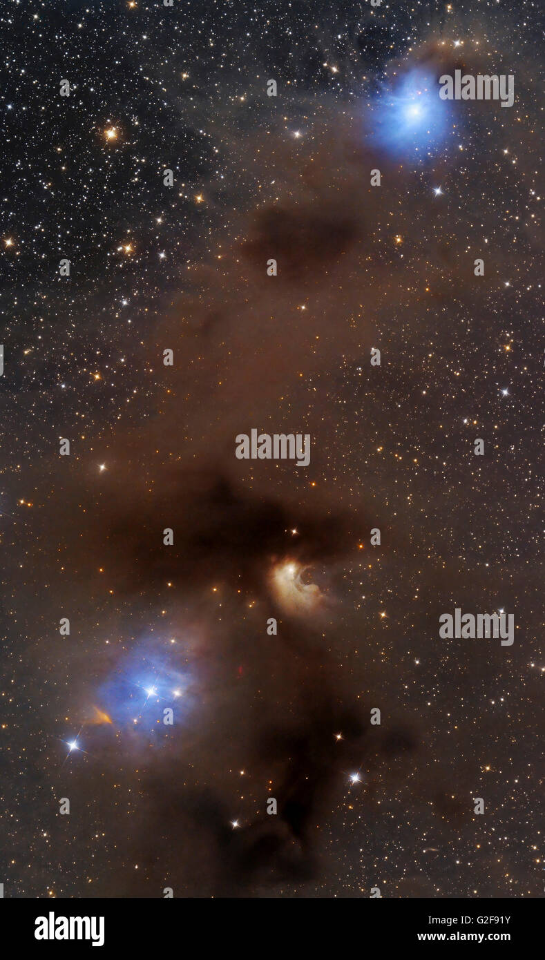 Eine reiche Region des Nachdenkens und der Emission Nebeln umgeben von Braun interstellaren Molekülwolken im Camäleon constellatio Stockfoto Eine reiche Region des Nachdenkens und der Emission Nebeln umgeben von Braun interstellaren Molekülwolken im Camäleon constellatio Stockfoto